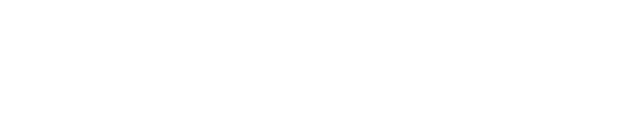 Vsinger
